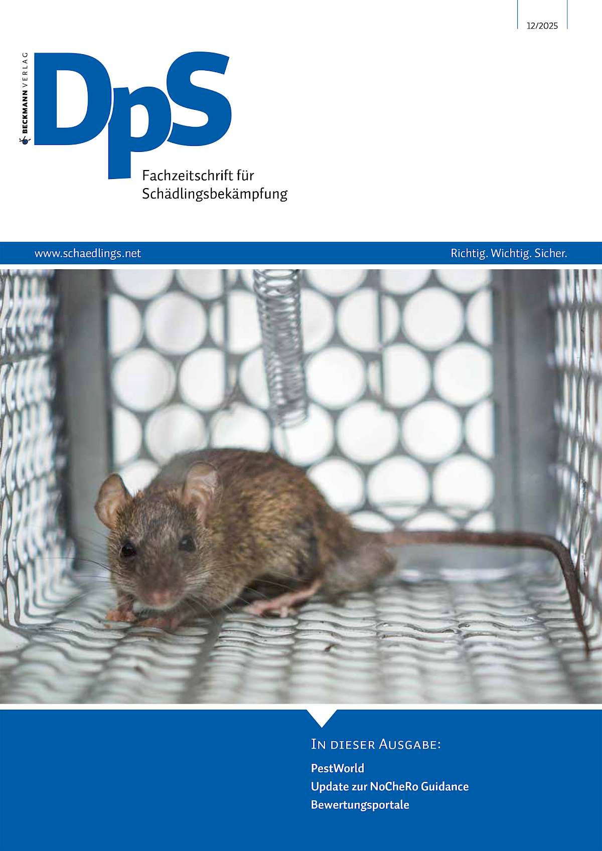 Dps Net DpS Dezember 2025 - jetzt online lesen!! | DpS