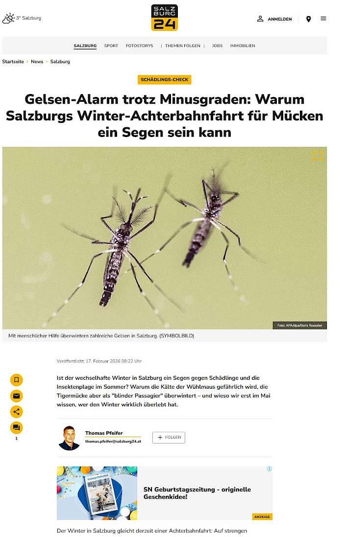 26-02-19 Screenshot von salzburg24.at des Beitrags - Gelsen-Alarm trotz Minusgraden