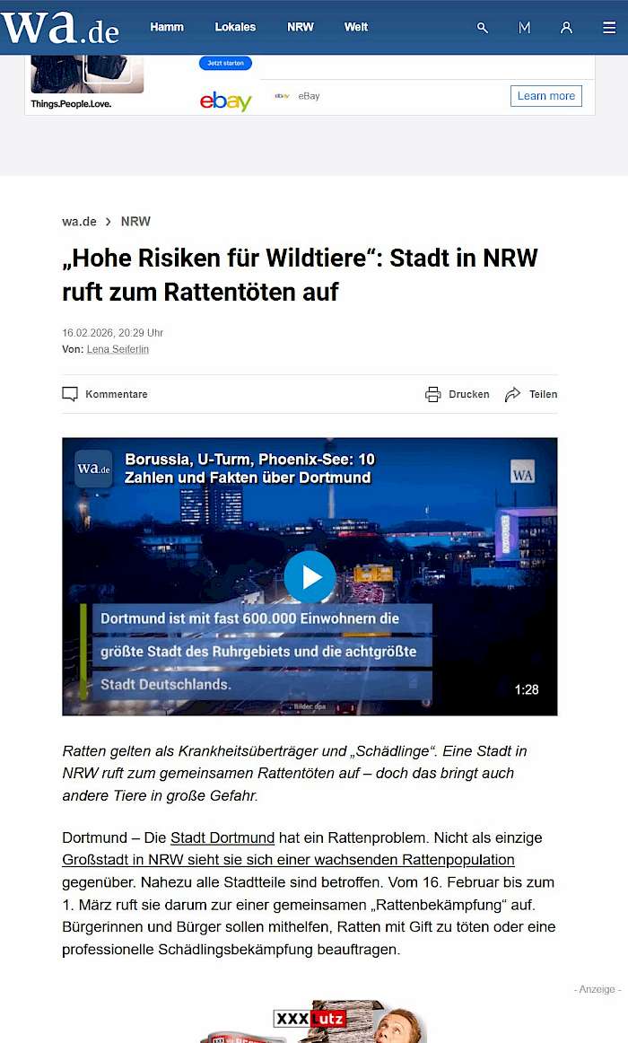 26-01-29 Screenshot von www.wa.de des Beitrags - Hohe Risiken für Wildtiere -  Stadt in NRW ruft zum Rattentöten auf