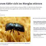Die Neue Zürcher Zeitung über den Ambrosiakäfer
