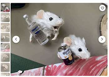 Mausköpfe mit Magnet, lt. Webseite #Hergestellt aus einer echten Maus ... ethisch bezogene Tiere#. Screenshot: etsy