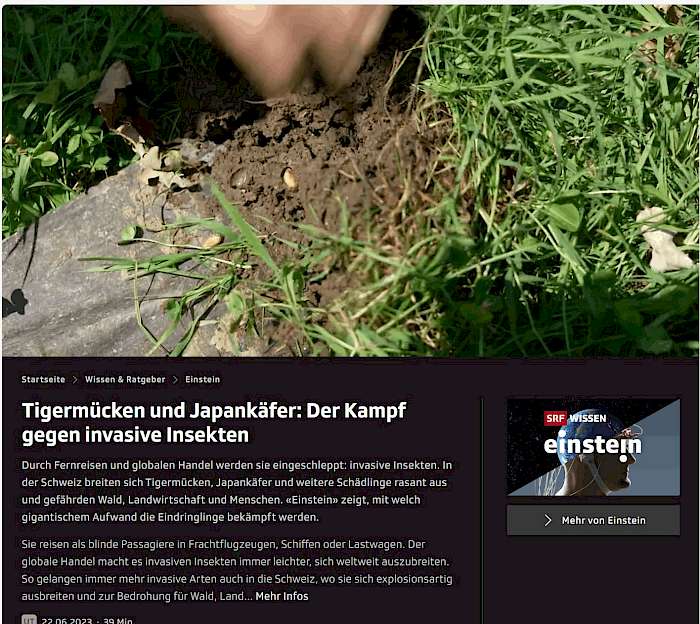 Screenshot vom SRF-Einstein: Tigermücken und Japankäfer aus Juni 2022