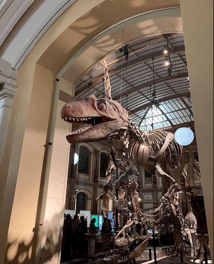 Museum für Naturkunde Berlin