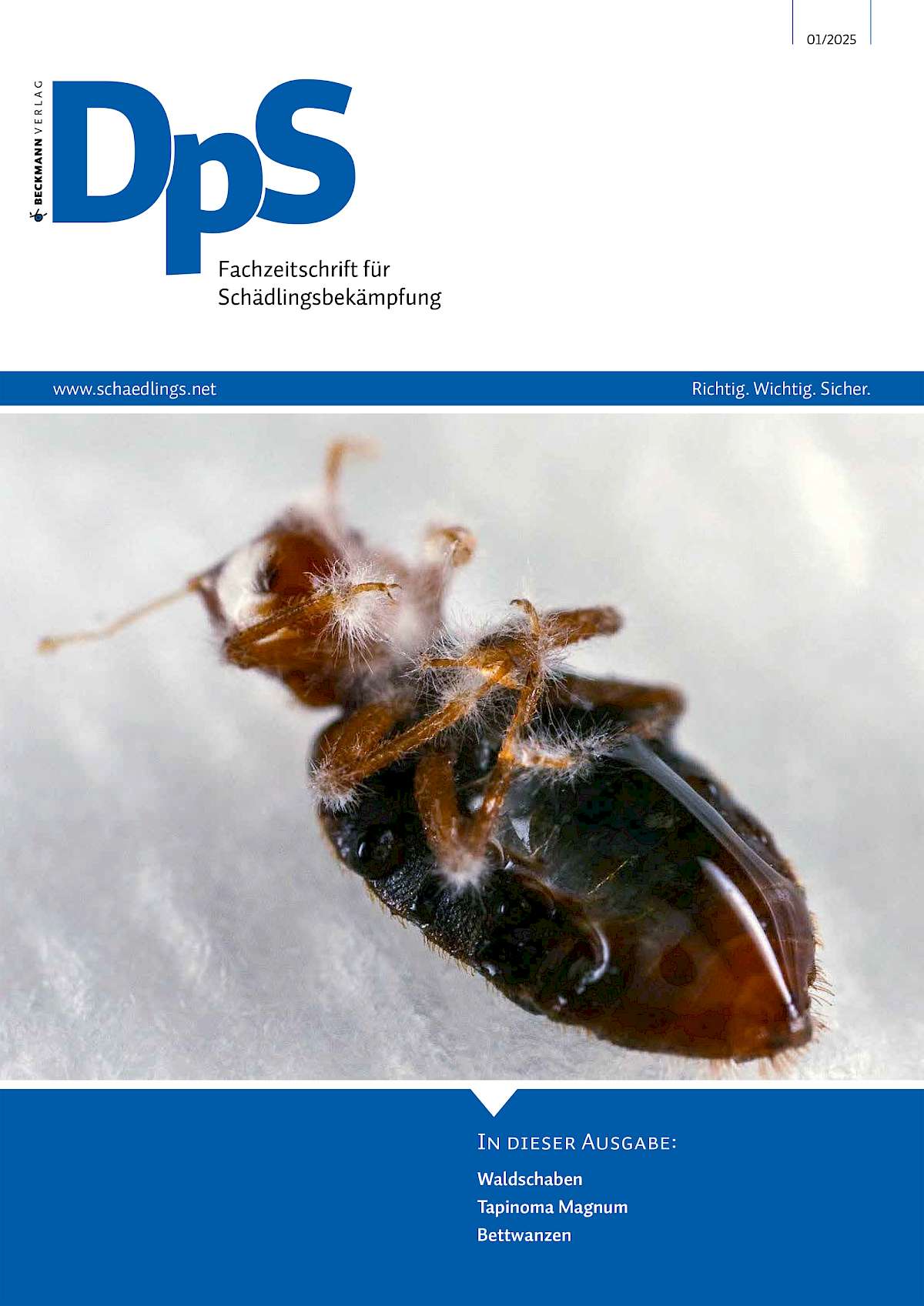 Dps Net Die Januar-Ausgabe 2025 ist jetzt online! | DpS