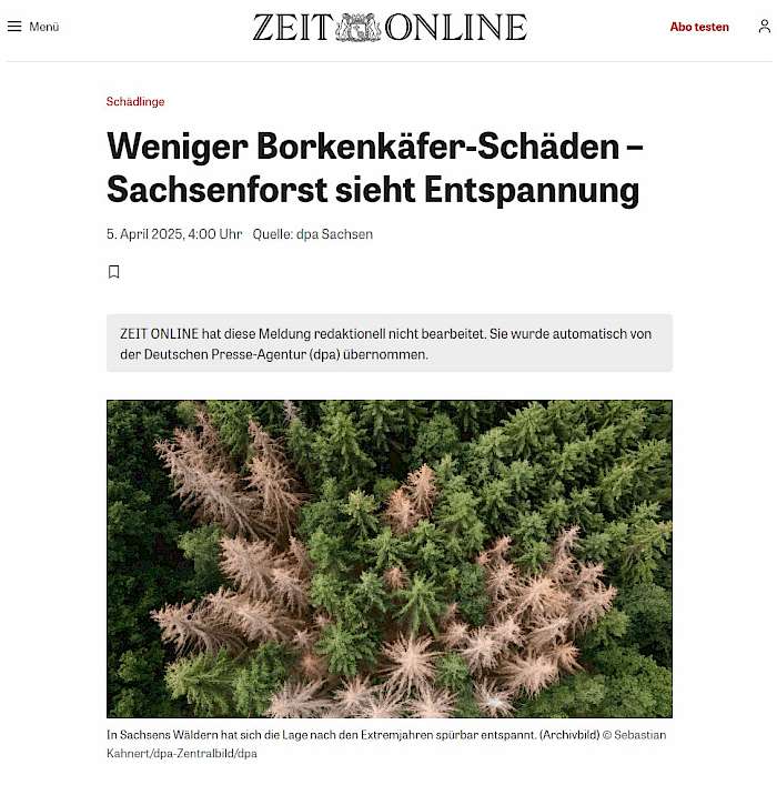 2025-04-09 Screenshot von zeit.de -Schädlinge_ Weniger Borkenkäfer-Schäden – Sachsenforst sieht Entspannung