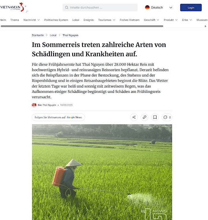 2025-05-15 Screenshot von vietnam.vn des Beitrags - Im Sommerreis treten zahlreiche Arten von Schädlingen und Krankheiten auf