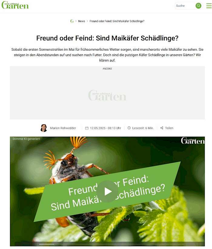 2025-05-15 Screenshot von mein-schoener-garten.de des Beitrags - Maikäfer im Garten_ Freude oder Ärger