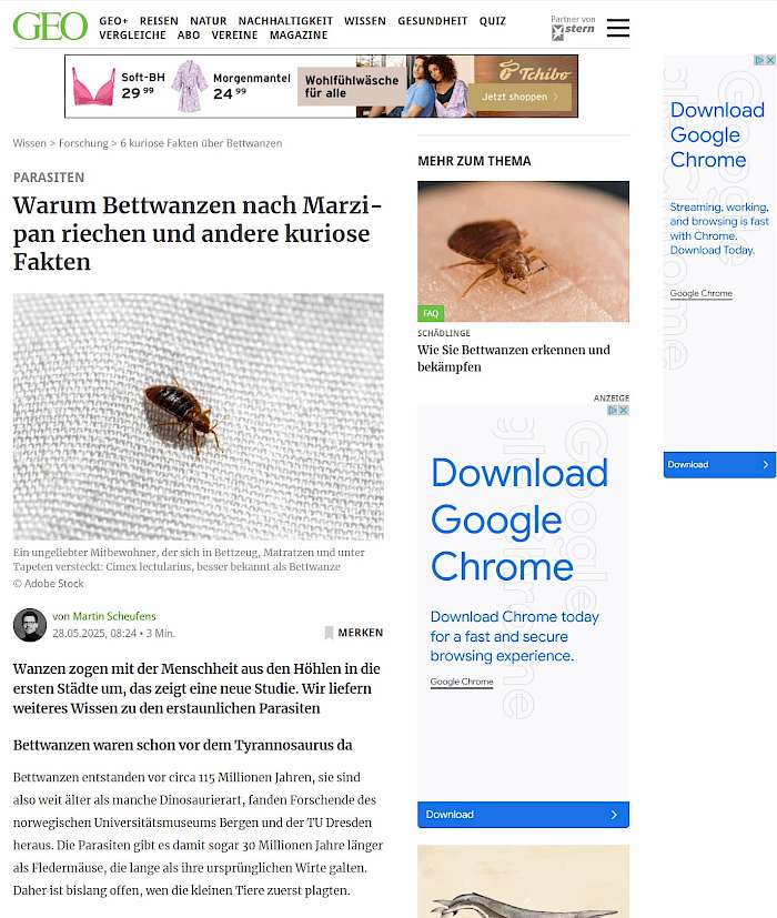 2025-06-03 Screenshot von gro.de zum Beitrag - 6 kuriose Fakten über Bettwanzen