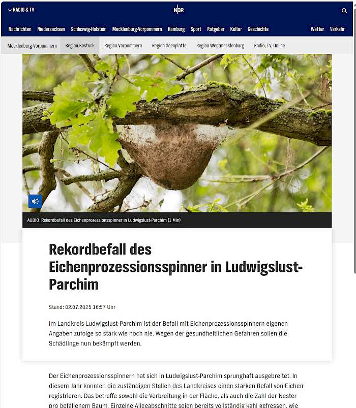 Screenshot von ndr.de des Beitrags - Rekordbefall des Eichenprozessionsspinner in Ludwigslust-Parchim