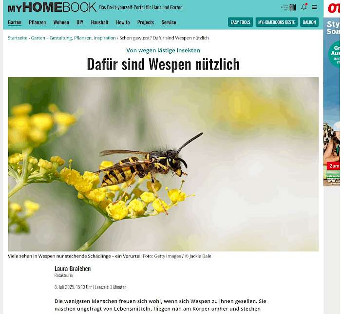 2025-07-11 Screenshot von myhomebook.de der Seite - Wofür sind Wespen eigentlich nützlich