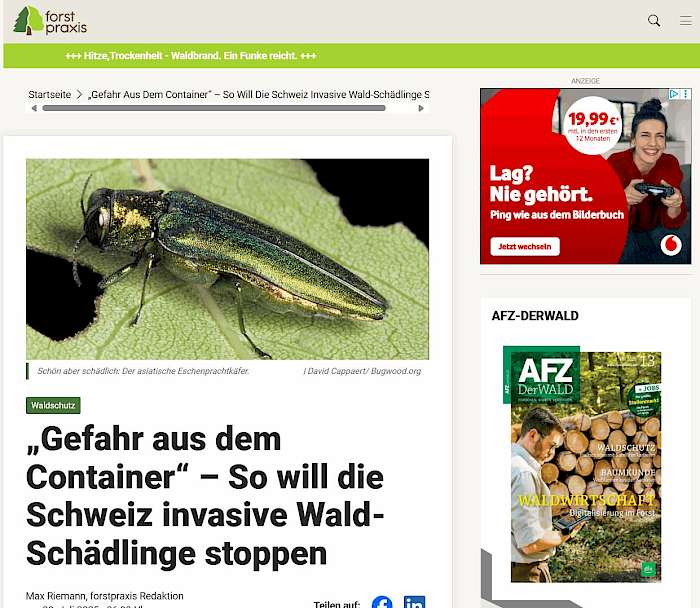 2025-07-11 Screenshot von forstpraxis.de des Beitrags - Gefahr aus dem Container