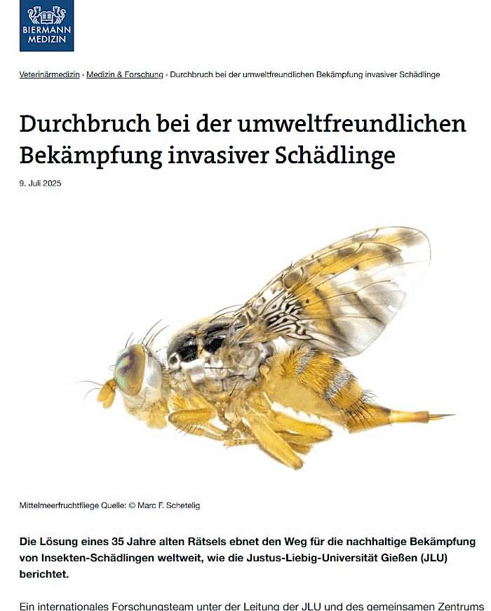 2025-07-11 Screenshot von biermann-medizin.de des Beitrags -Durchbruch bei der umweltfreundlichen Bekämpfung invasiver Schädlinge