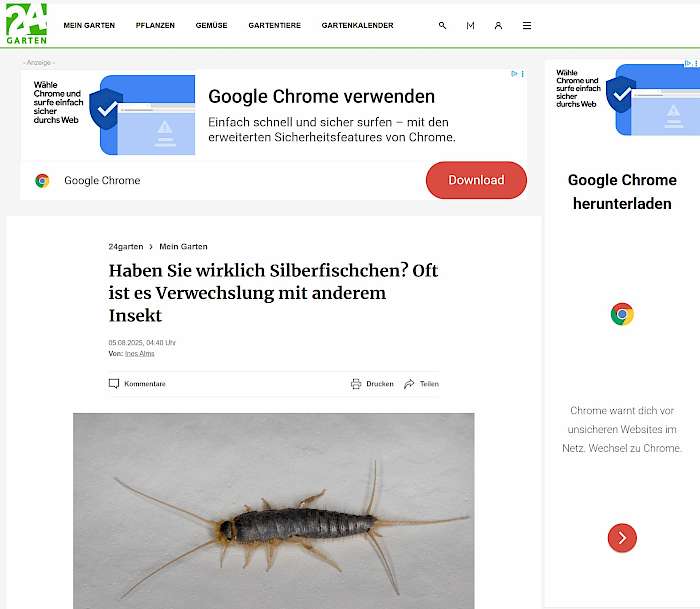 2025-08-05 Screenshot von 24garten.de des Beitrags - Haben Sie wirklich Silberfischchen