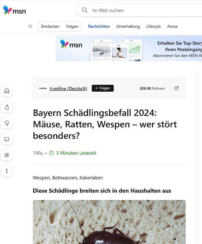 2025-08-05 Screenshot von msn,com - Bayern Schädlingsbefall 2024_ Mäuse, Ratten, Wespen