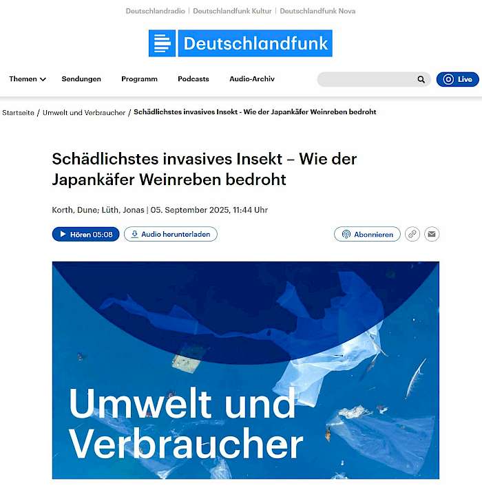 2025-10-09 Screenshot von deutschlandfunk.de des Beitrages - Schädlichstes invasives Insekt