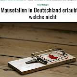 2025-10-28 Screenshot von myhomebook.de des Beitrages: Welche Mausefallen in Deutschland erlaubt sind. - und welche nicht.