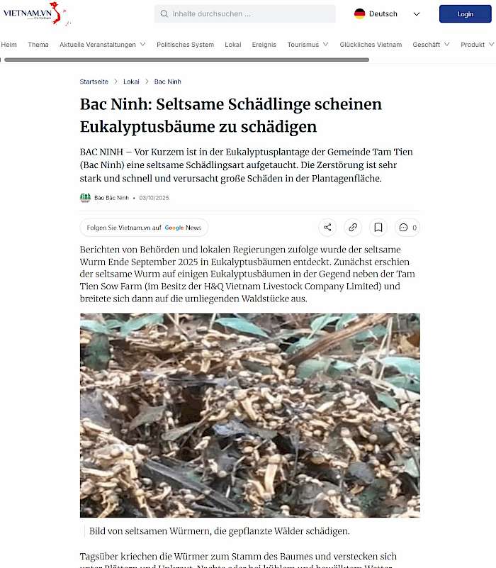 2025-10-28 Screenhot von vietnam.vn des Beitrags - Bac Ninh - Seltsame Schädlinge scheinen Eukalyptusbäume zu schädigen